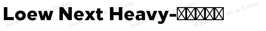 Loew Next Heavy字体转换